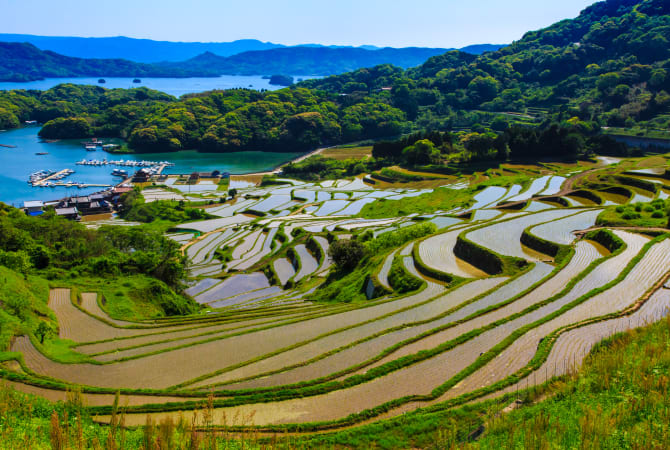 Terraced Rice Fields at Oura