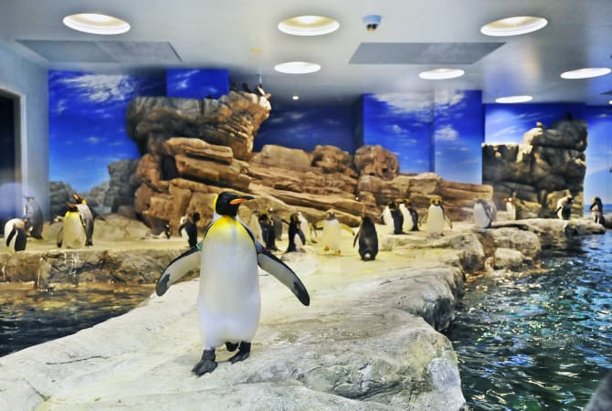 Shimonoseki Kaikyokan