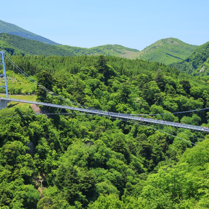 Kokonoe Yume Otsurihashi Bridge