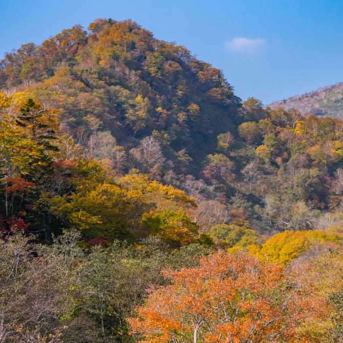 Rausu Visitor Center