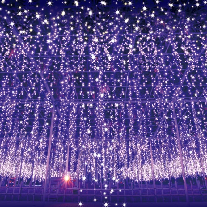 Ashikaga Flower Fantasy