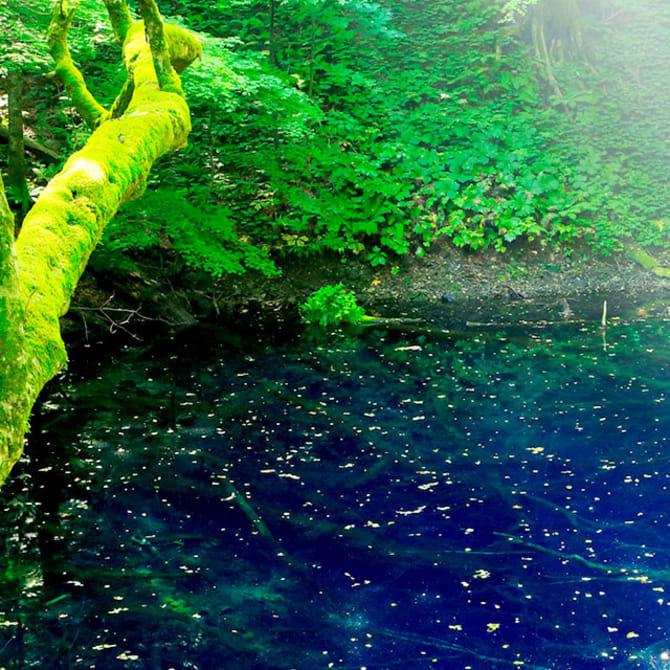 Scenic World Heritage in Tohoku