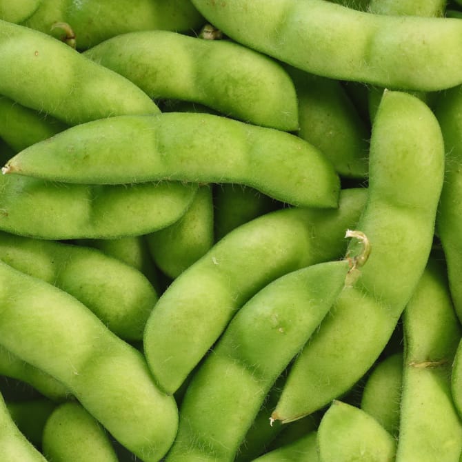 A Vegetarian and Vegan Guide to Japan