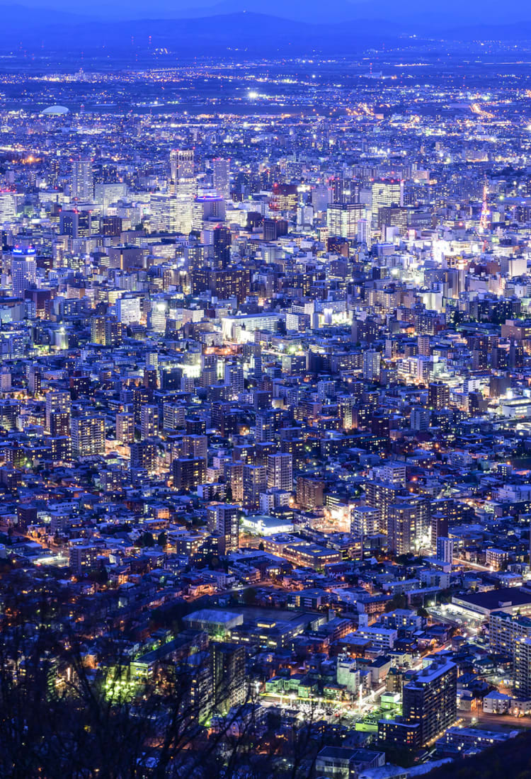 Has Tokyo reached 'peak city'?, Cities