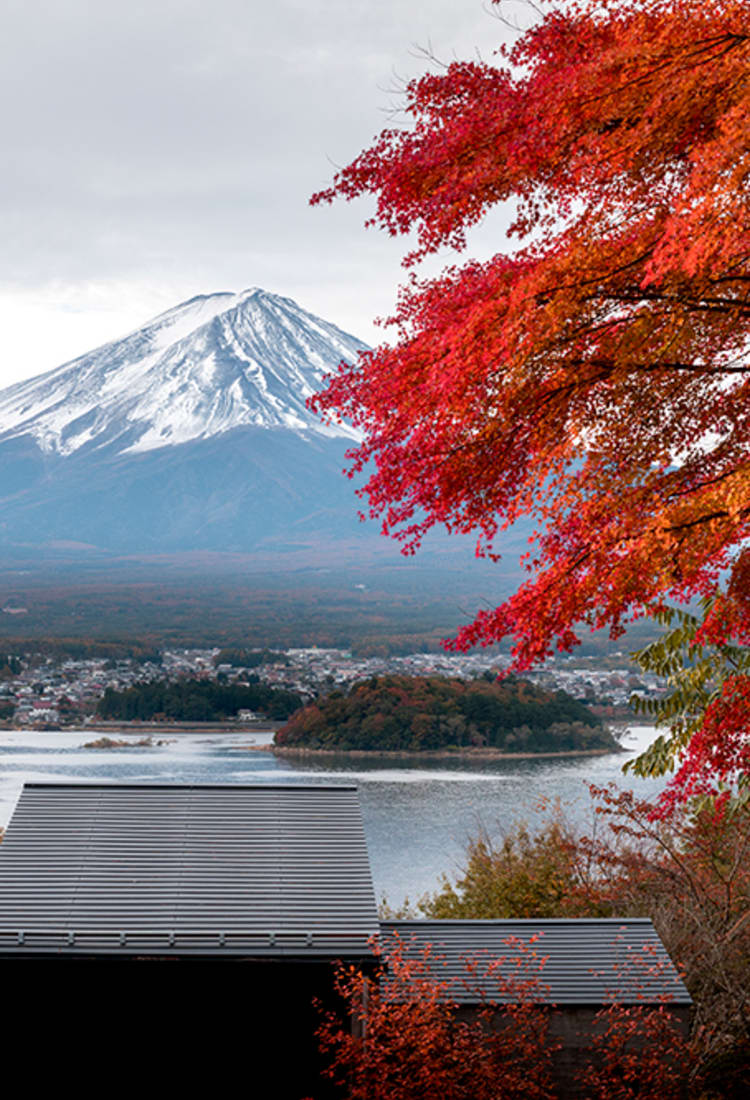 日本