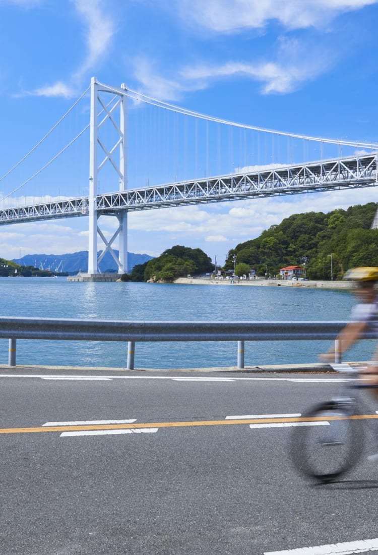 Best japanese road bikes shop