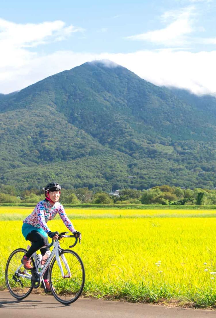 Oki bike culture velo hotsell