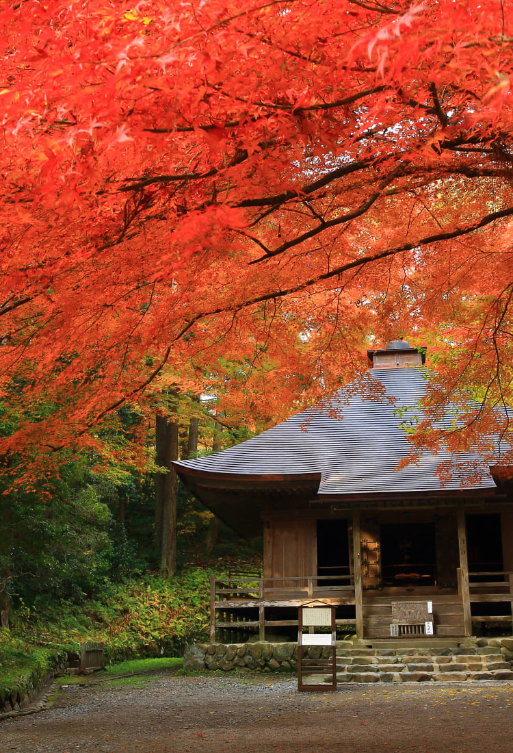 Chuson-ji Temple-AUT