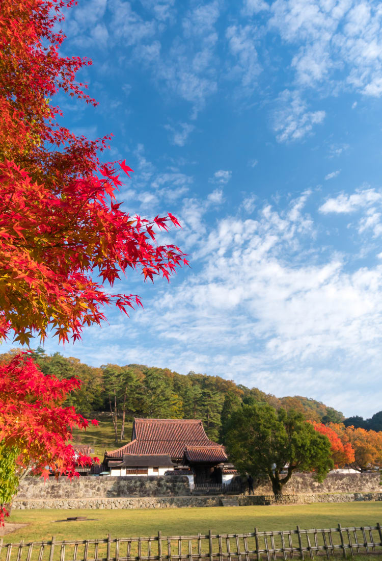 shizutani school