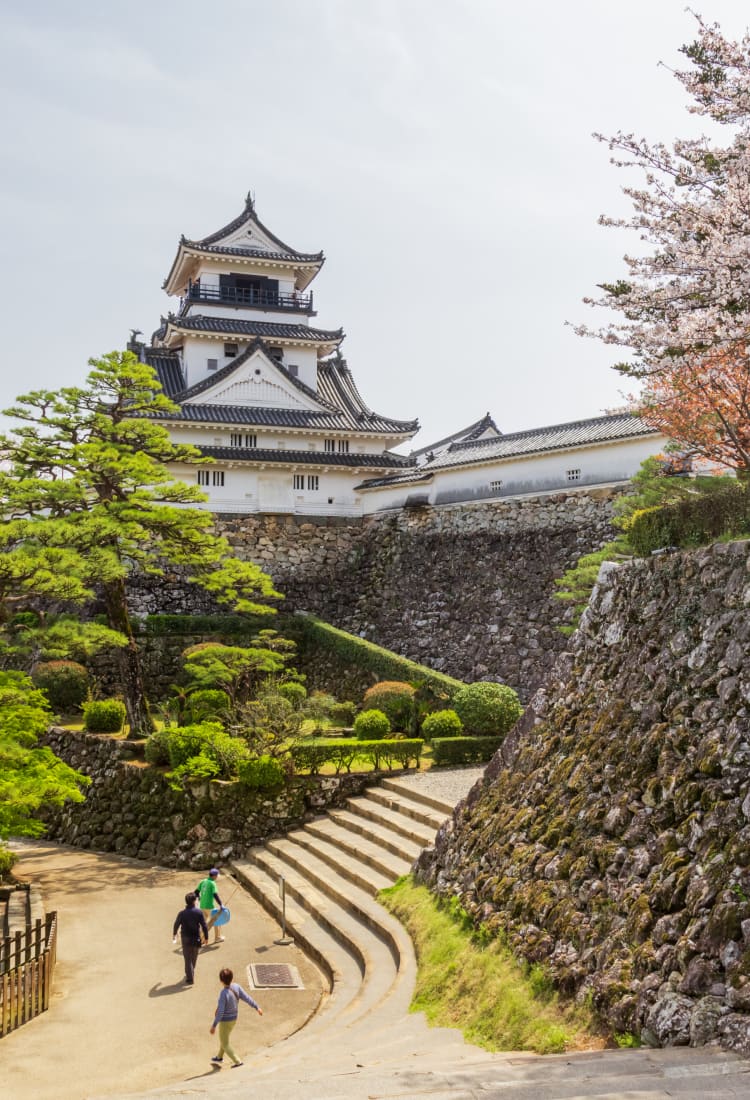 Kochi castle