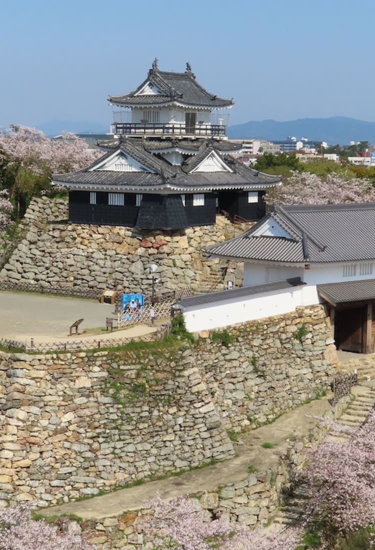 Hamamatsu Castle