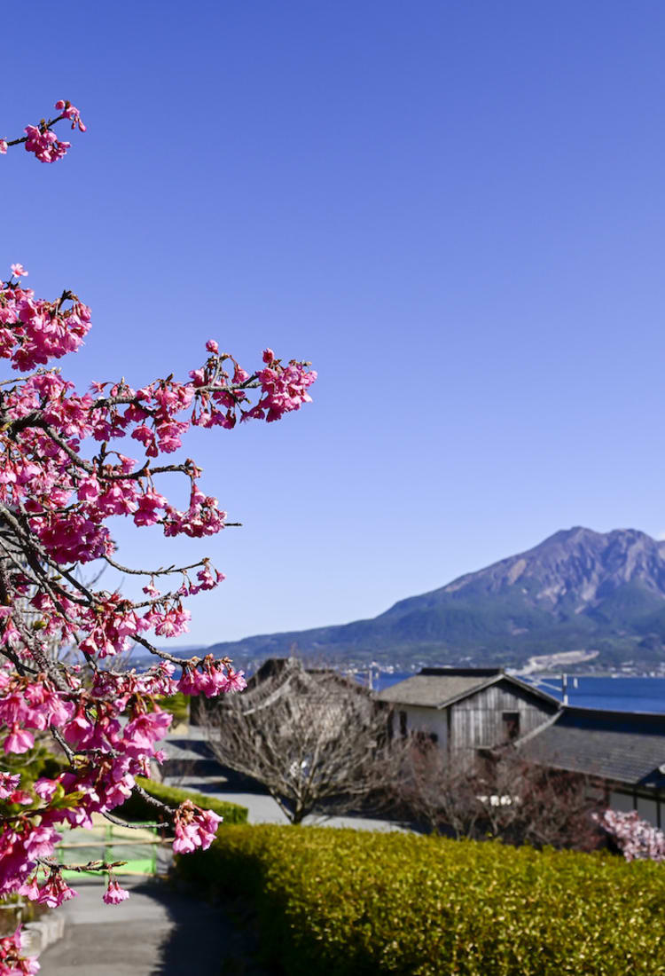 Sakurajima