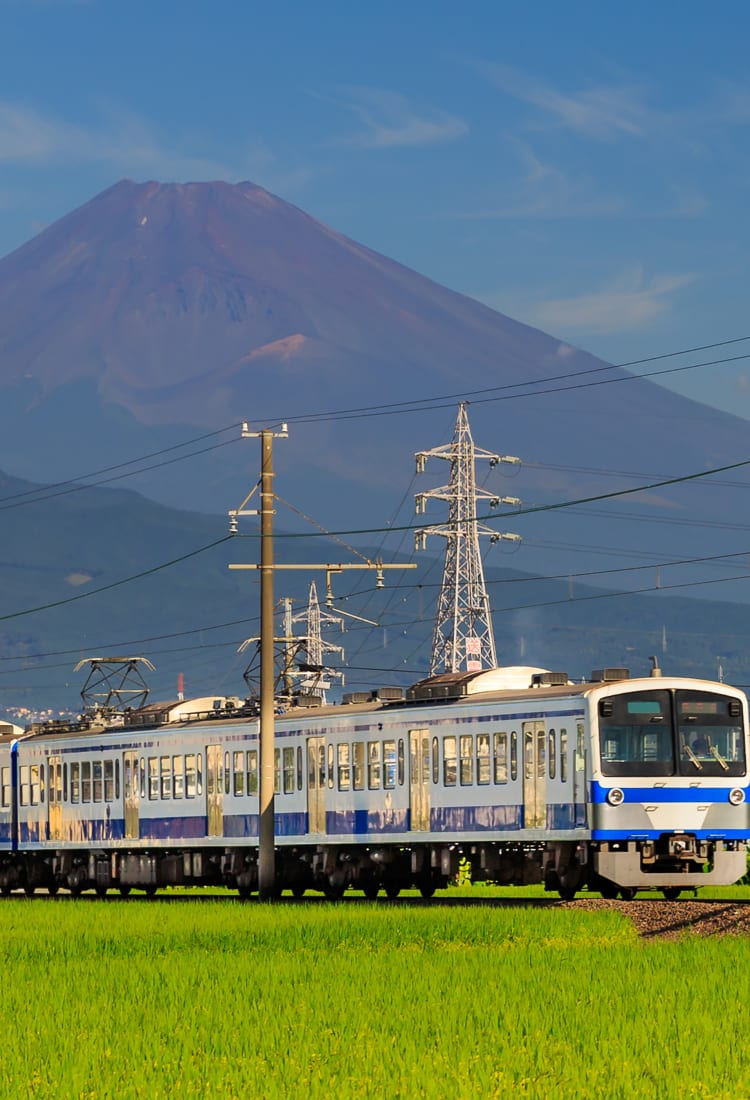 How to travel by train and bus in Japan 
