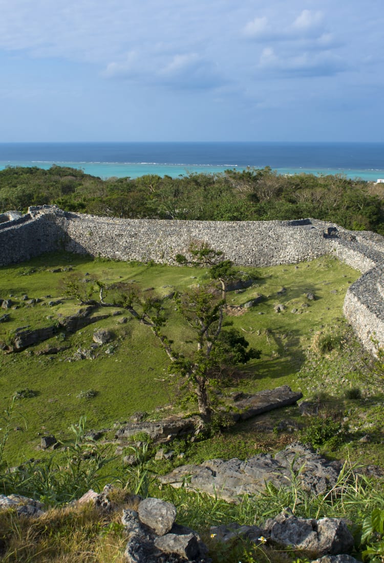 Amami-Oshima Island, Tokunoshima Island, Northern part of Okinawa Island, and Iriomote Island 