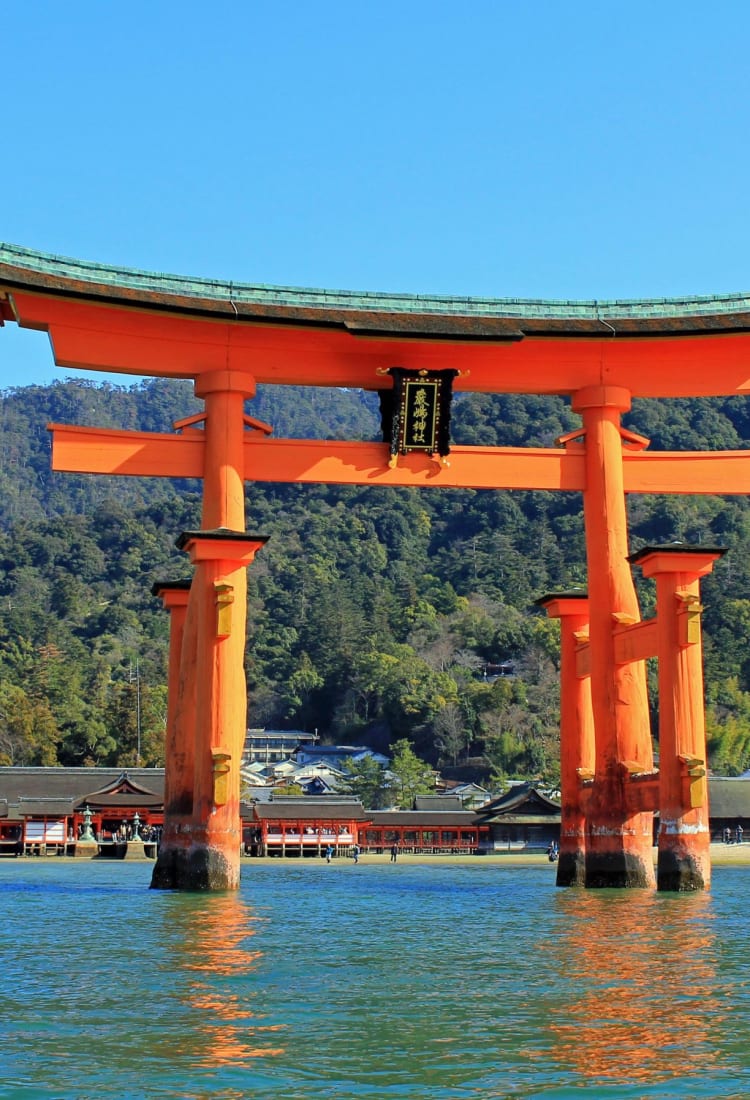 momijidani_park