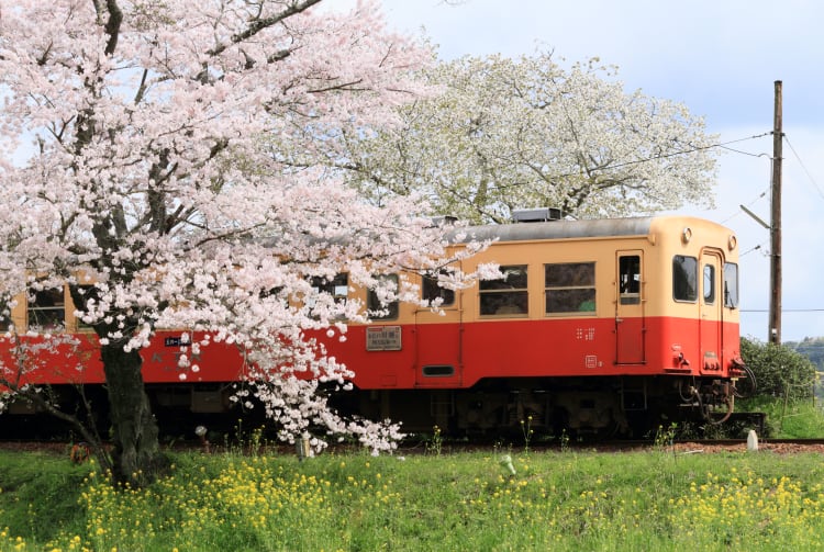 Kominato Railway