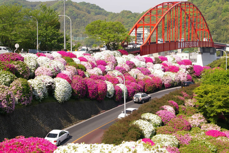 Ondo Bridge