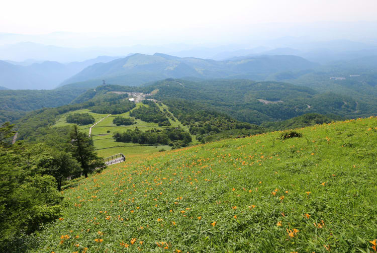 nikko area