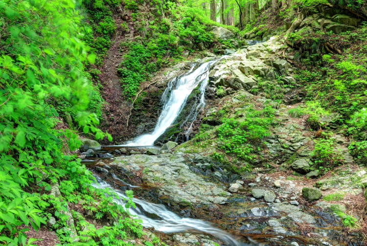 Shiraito water fall