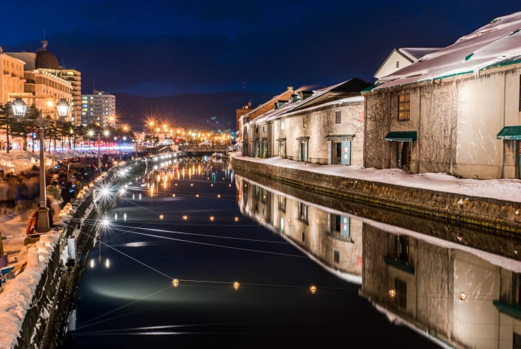 Otaru Snow Light Path