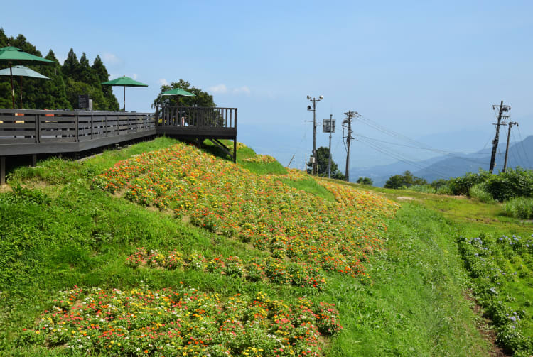 yuzawa kogen highland ski & panorama park