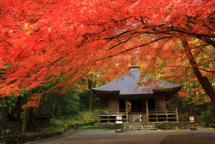 Chuson-ji Temple-AUT