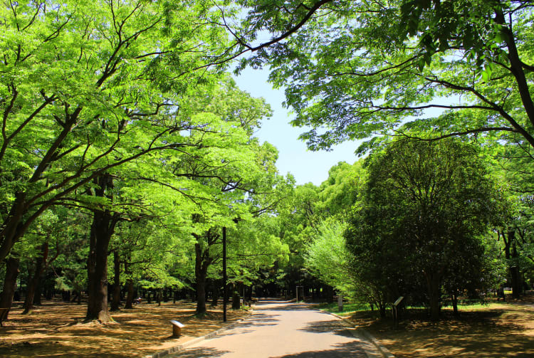 Yoyogi Park