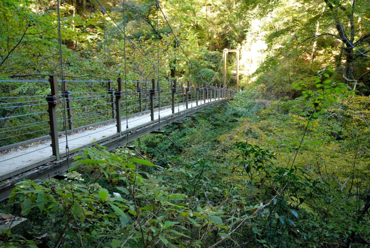 Mt Takao-san Area