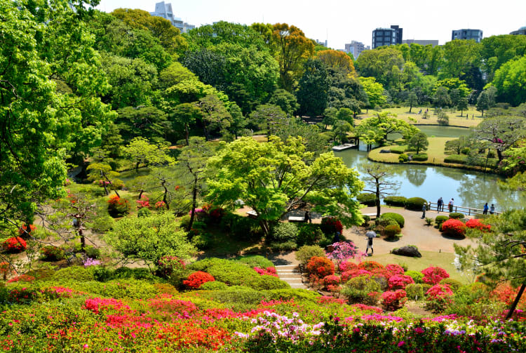 Rikugien Garden