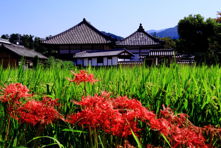 Asuka-dera Temple