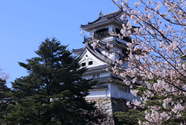 kochi castle