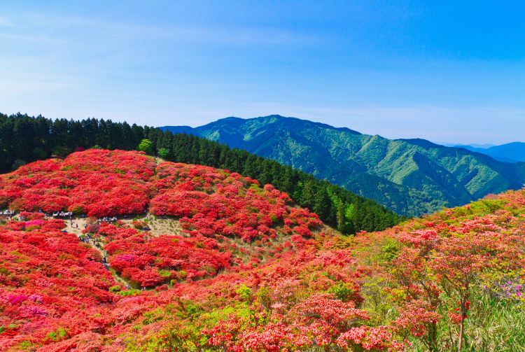 mt. katsuragi