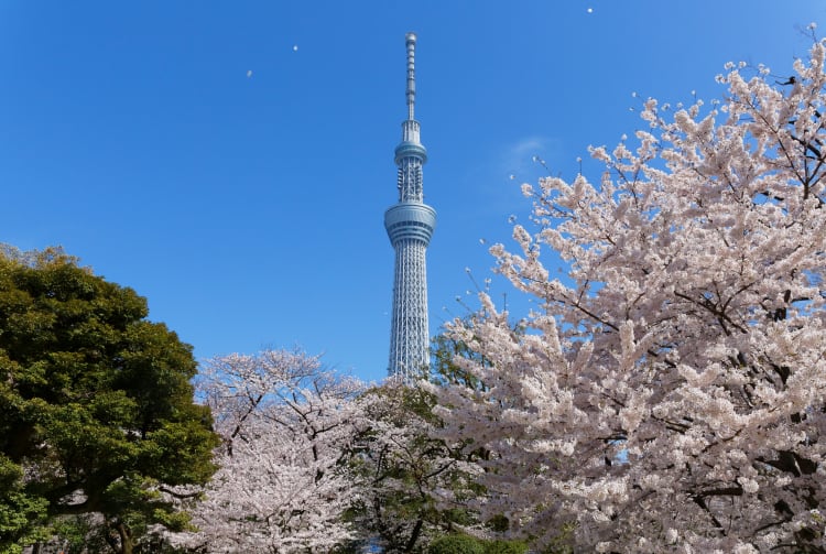 Sumida Park