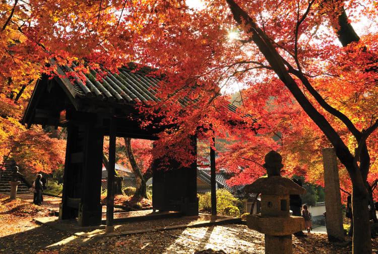 Akizuki Castle