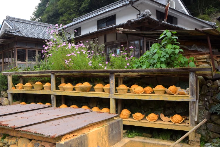 Ontayaki no Sato Ontayaki Pottery Village