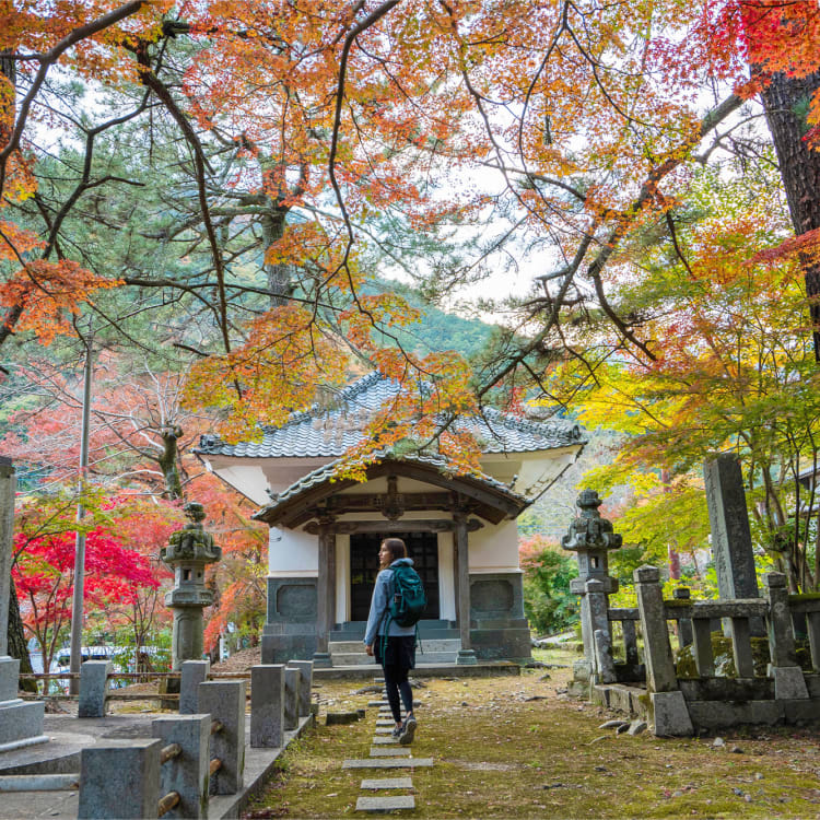 Sunrise Morning Yoga Experience  See Japan, Experience Sendai Activities