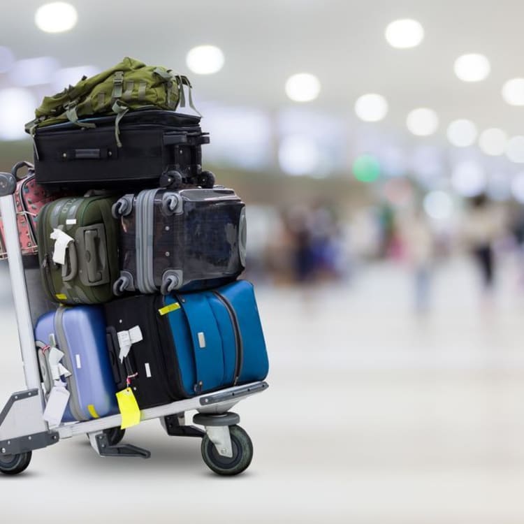 Heavy luggage hotsell