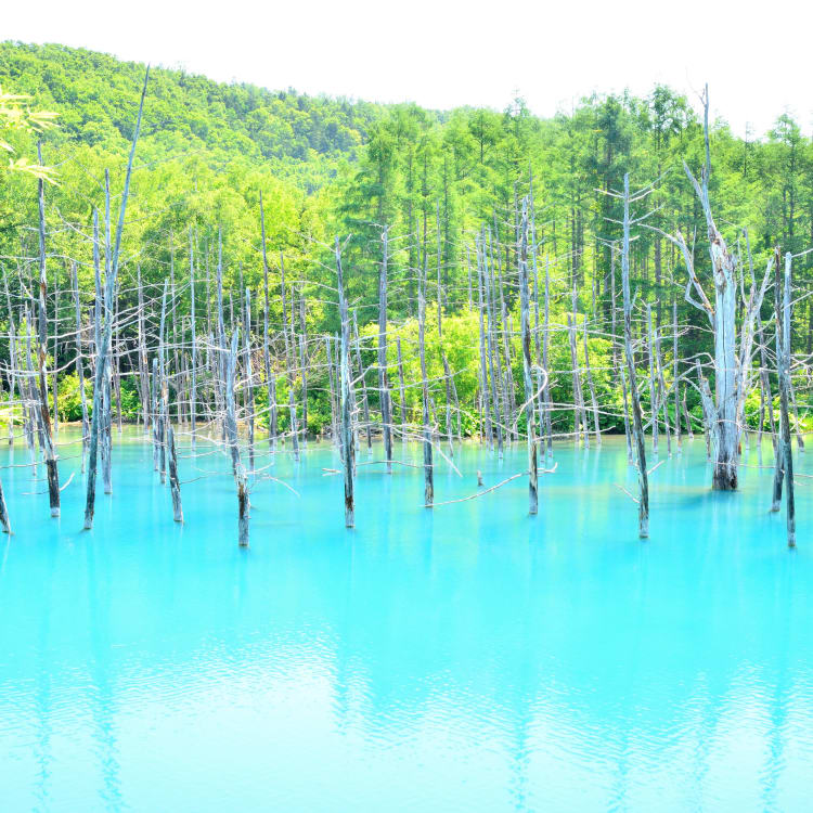 Blue pond