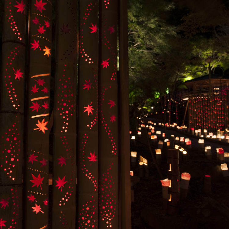 Kiyomizu Bamboo Lantern Festival