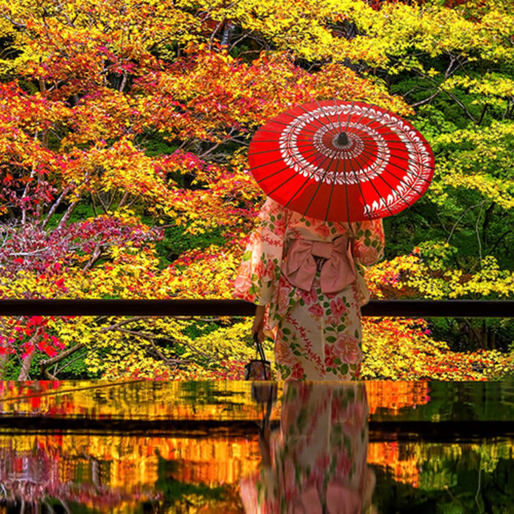 Luxury Japan