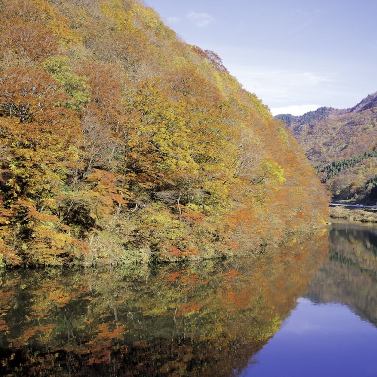 Yamagata Autumn