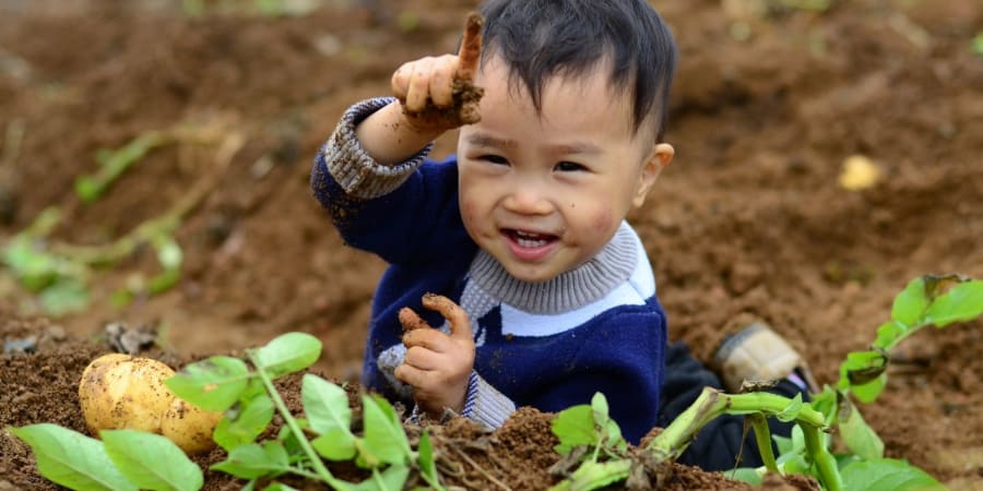 ÁP DỤNG PHƯƠNG PHÁP GIÁO DỤC STEINER TỪ ÁO