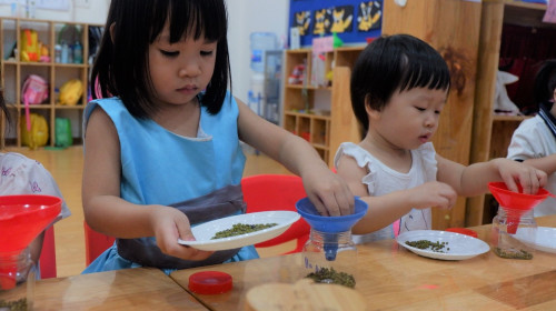 KHÁM PHÁ THẾ GIỚI QUA ĐÔI BÀN TAY BÉ XINH