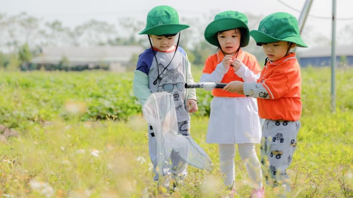 DANH SÁCH CÁC TRƯỜNG MẦM NON NHẬN TRẺ TỪ 6 THÁNG TUỔI QUẬN CẦU GIẤY