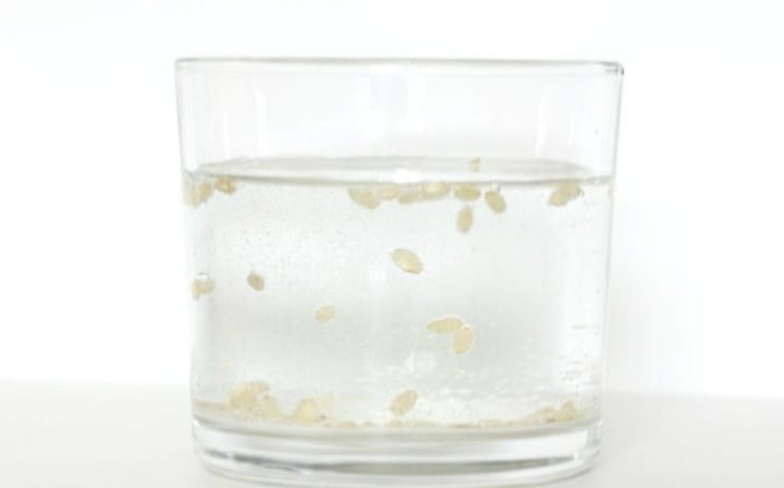 Thí nghiệm “Những hạt gạo nhảy múa” dành cho trẻ mầm non