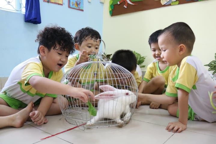 TOP 5 TRƯỜNG MẦM NON TƯ THỤC TỐT QUẬN 4