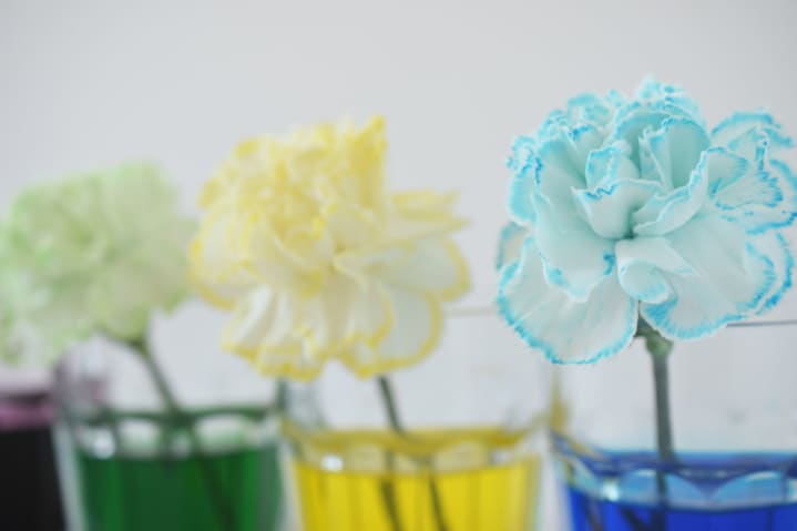 THÍ NGHIỆM THÚ VỊ CHO TRẺ MẦM NON - 