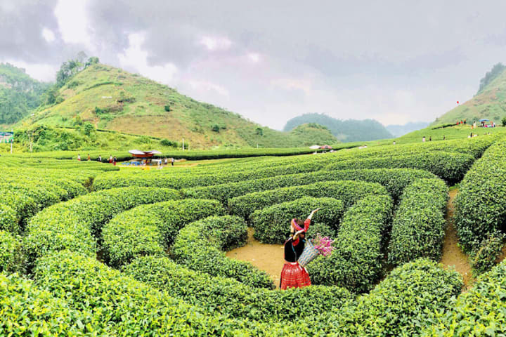 04 ĐIỂM DU LỊCH TRONG NƯỚC HẤP DẪN DÀNH CHO GIA ĐÌNH DỊP TẾT NGUYÊN ĐÁN