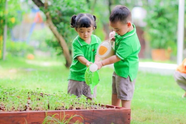 REGGIO EMILIA: KHỞI NGUỒN SỰ SÁNG TẠO CHO TRẺ TỪ 0 - 6 TUỔI