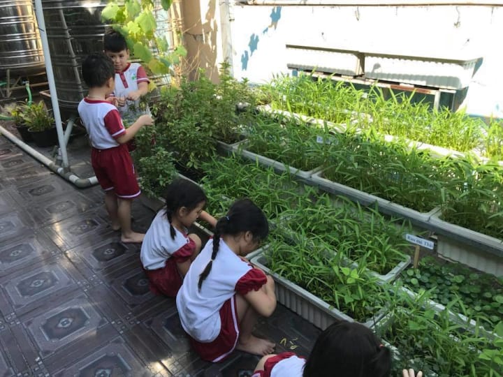 DANH SÁCH CÁC TRƯỜNG MẦM NON CÔNG LẬP Ở QUẬN 5, TP.HCM